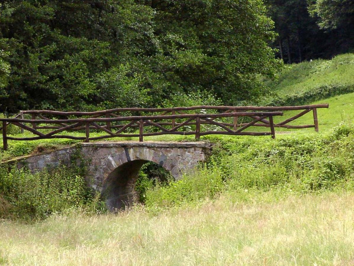 Schoenblick - Gemuetlich Uebernachten! Ober-Hambach Eksteriør billede